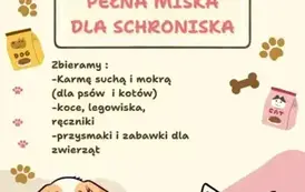 Pełna miska dla schroniska 1