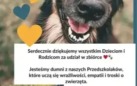 Pełna miska dla schroniska 5