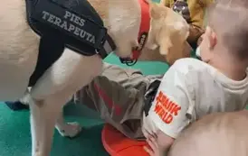 DOGOTERAPIA2 3
