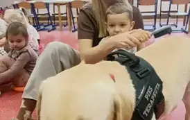 DOGOTERAPIA2 5