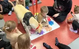 DOGOTERAPIA2 8