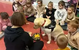 DOGOTERAPIA2 9
