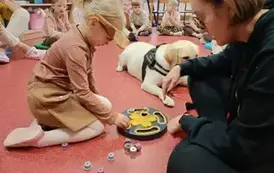 DOGOTERAPIA2 11