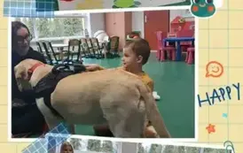 DOGOTERAPIA2 13