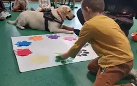 DOGOTERAPIA2 14