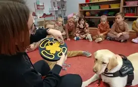 DOGOTERAPIA2 16
