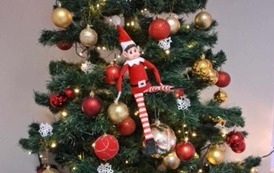 "Elf on the Shelf" 9