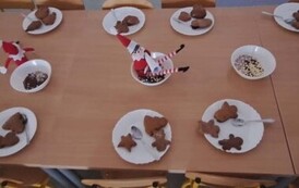 "Elf on the Shelf" 15