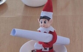 "Elf on the Shelf" 17