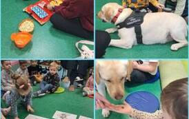 DOGOTERAPIA26 1