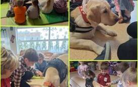 DOGOTERAPIA26 2