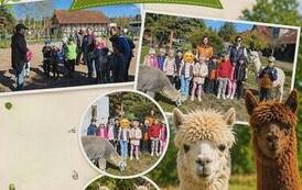 Wycieczka Alpakoraj w ramach projektu unijnego 20