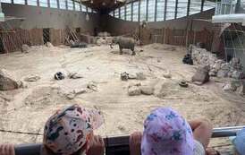 Wycieczka do ZOO w ramach projektu z unii 5