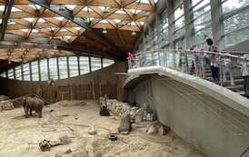 Wycieczka do ZOO w ramach projektu z unii 9