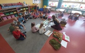 DZIEŃ DRZEWA 14