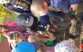 DZIEŃ DRZEWA 15