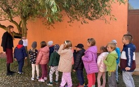 DZIEŃ DRZEWA 16