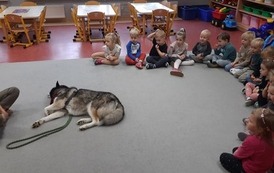 DOGOTERAPIA - SPOTKANIE Z TAJGĄ 28