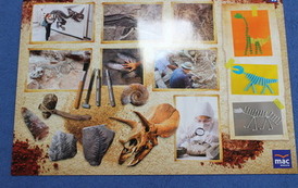 Czym zajmuje się paleontolog? 14