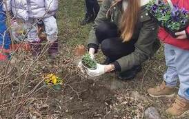 ZAWITAŁA WIOSNA PIĘKNA I RADOSNA 8