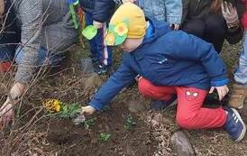 ZAWITAŁA WIOSNA PIĘKNA I RADOSNA 12