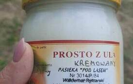WIZYTA PSZCZELARZA 4