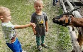 Kolejne grupy w "Brykolandii" 2