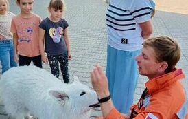 Odwiedziny OSP Wronki w "Bajkowym Świecie" 9