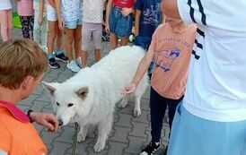Odwiedziny OSP Wronki w "Bajkowym Świecie" 12