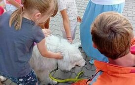 Odwiedziny OSP Wronki w "Bajkowym Świecie" 19