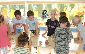 Dzień Ziemniaka w "Krainie Kubusia Puchatka" 18