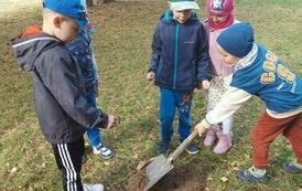DZIEŃ DRZEWA 15