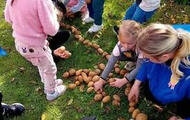 Dzień Pieczonego Ziemniaka  13