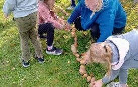 Dzień Pieczonego Ziemniaka  16