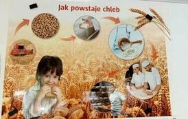 DZIEŃ CHLEBA 7