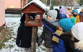 DBAMY O PTAKI ZIMĄ 3