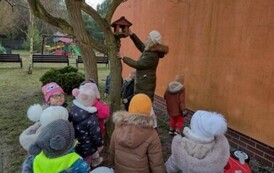 Skrzydlaci przyjaciele 5