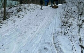Zimowe zabawy na śniegu 22