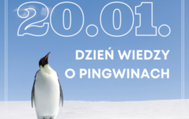 Dzień Pingwina 17