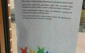 Zajączek szaraczek 5