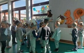 Zajączek szaraczek 6