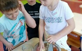 Dzień Marchewki 15