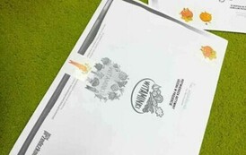 Dzień Marchewki 17