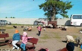 Wycieczka do Ranczo - Kacperkowo 29