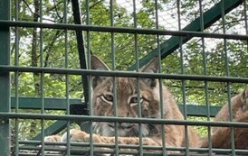 Wycieczka do Ogrodu Zoologicznego 1