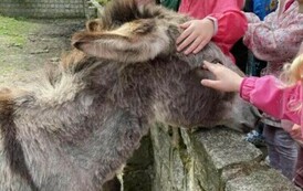 Wycieczka do Ogrodu Zoologicznego 2