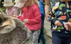 Wycieczka do Ogrodu Zoologicznego 4