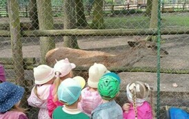 Wycieczka do Ogrodu Zoologicznego 5