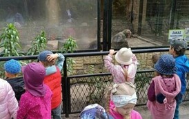 Wycieczka do Ogrodu Zoologicznego 6