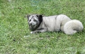 Wycieczka do Ogrodu Zoologicznego 9